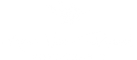 Ann Van Praet - Logo White